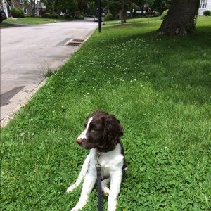 Meet your Posher, Katherine